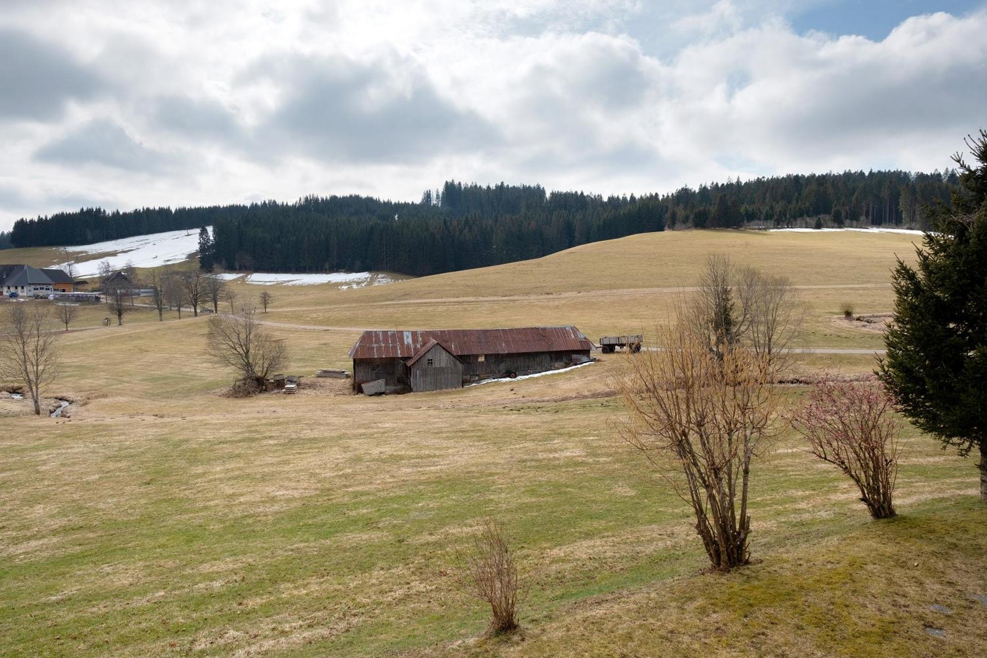 Ferienhaus Kaltenbach Titisee-Neustadt Exterior photo